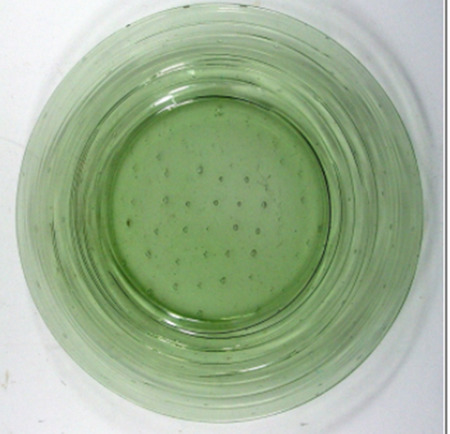6359 Spanish Green 8" Salad Plate