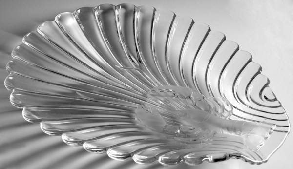 Sea Fare 16" Oval Platter