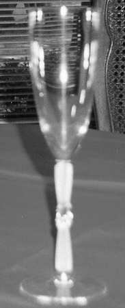 Luvia Fluted Champagne