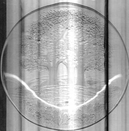 Sun Valley Dinner Plate