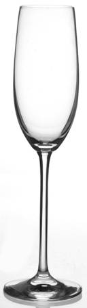 Vino Fluted Champagne