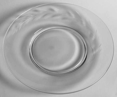 Carioca Luncheon Plate