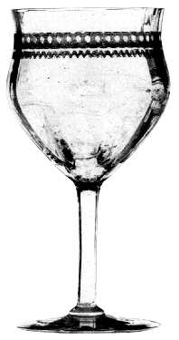NE275 Water Goblet