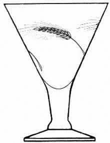 Silver Wheat (Stem 17540) by Tiffin-Franciscan