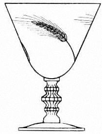 Silver Wheat (Stem 17542) by Tiffin-Franciscan