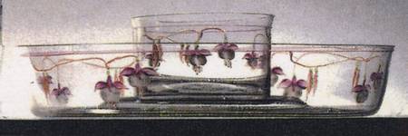 Monet Chip & Dip Set