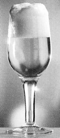 Beer Series Beer Glass
