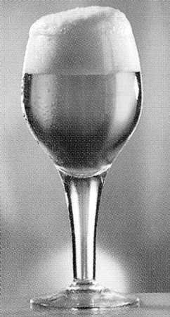 Beer Series Beer Glass