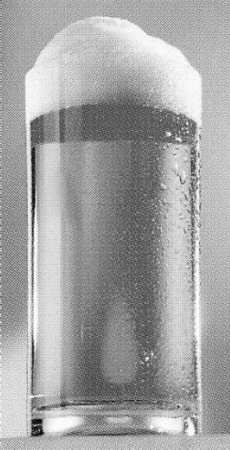 Beer Series Beer Glass
