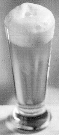 Beer Series Beer Glass