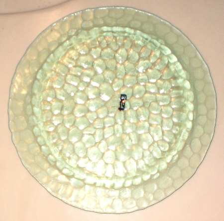 TLC5 8" Salad Plate