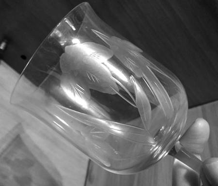 TOY48 Wine Glass