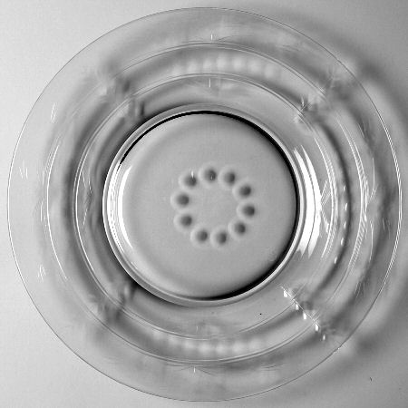 Brighton Salad Plate