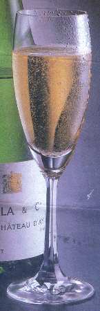 Gotham Fluted Champagne
