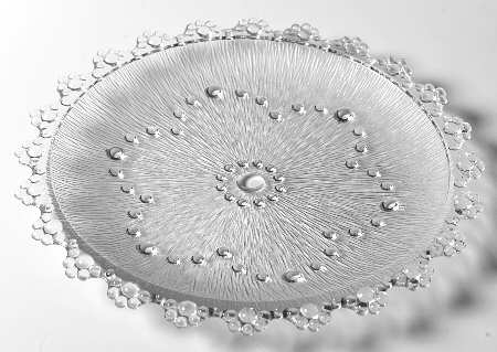 UNK1269 Cookie Plate