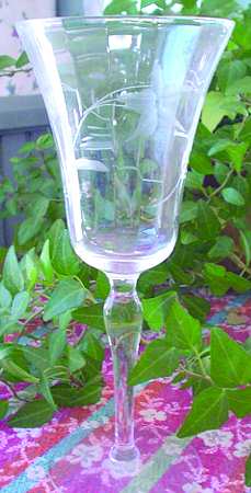 Poinsettia by Unknown Manufacturer