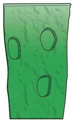 T1G1 Green