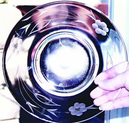 UNK2789 Luncheon Plate