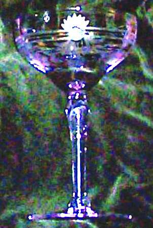 UNK4354 Twilight Champagne/Tall Sherbet