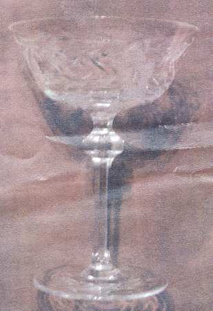 UNK5392 Champagne/Tall Sherbet