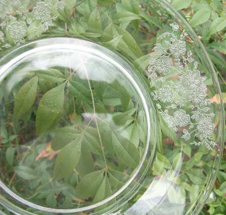 UNK2629 Clear 7" Salad Plate