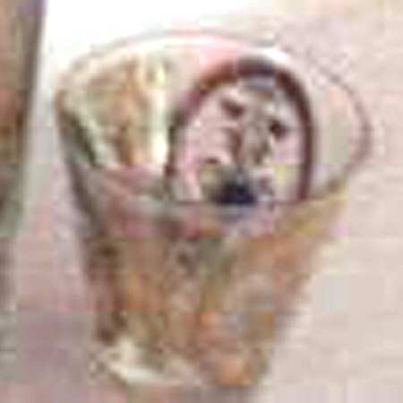 UGL1 Whiskey Glass