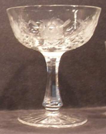 UNK11558 Champagne/Tall Sherbet