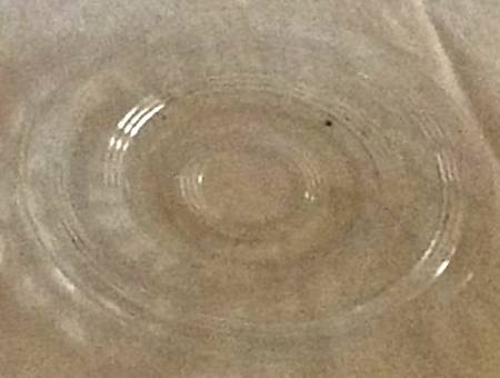 UNK15144 Bread & Butter Plate
