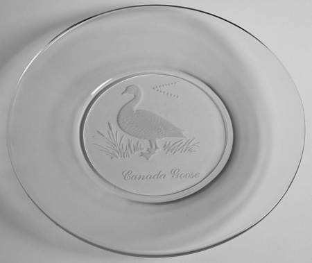 UNK17392 8" Salad Plate