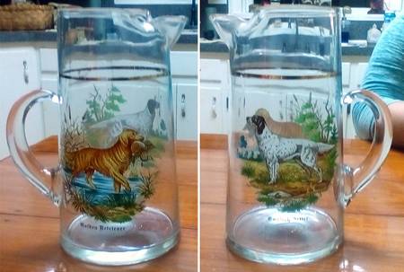 UNK18081 Pitcher