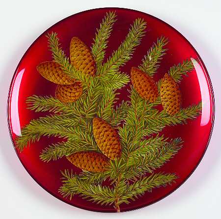 Winter Berry 8" Salad Plate