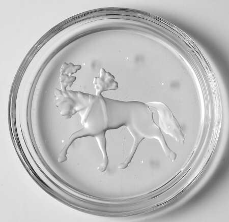 Circus (Giftware) Coaster