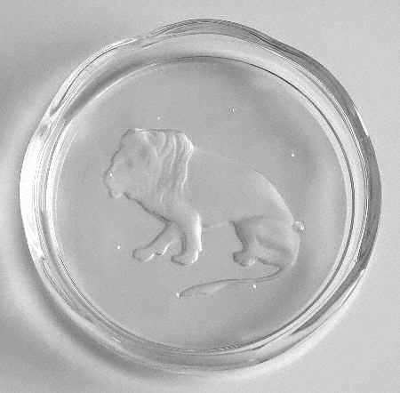 Zodiac Coaster