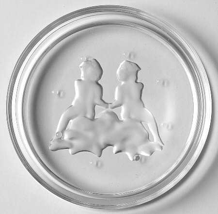 Zodiac Coaster