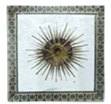 Sea Collection 5" Square Plate