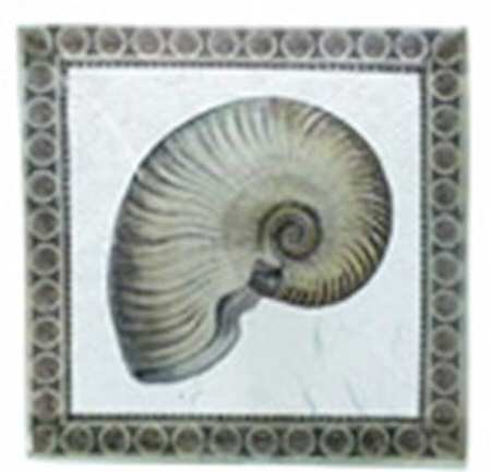 Sea Collection 5" Square Plate