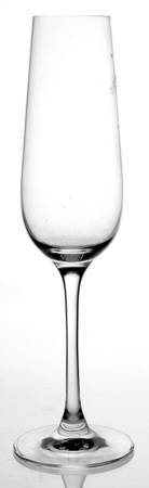Purismo Fluted Champagne