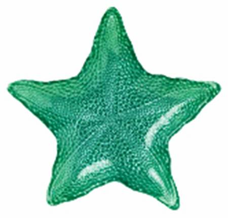 Sea Glass 7" Teal Starfish Shape Dish