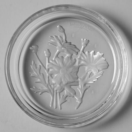 Floral Intaglio Coasters Coaster