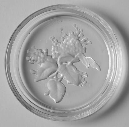 Floral Intaglio Coasters Coaster