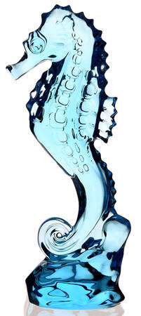 Cape Collection Seahorse