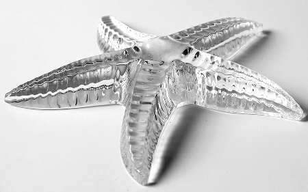Cape Collection Starfish