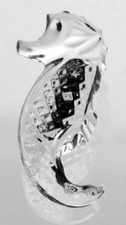 Seahorse Brooch