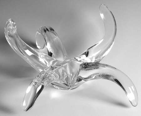Evolution (Ocean Motif) Starfish