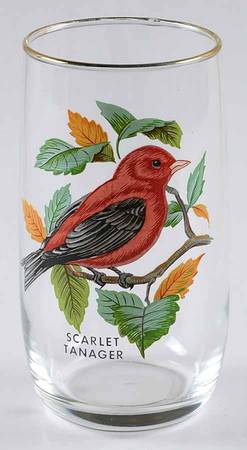 American Songbirds 10 Oz Flat Tumbler