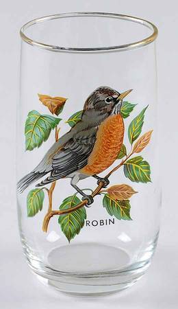 American Songbirds 10 Oz Flat Tumbler