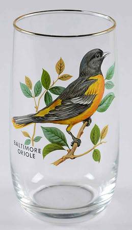 American Songbirds 10 Oz Flat Tumbler