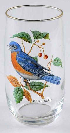 American Songbirds 10 Oz Flat Tumbler