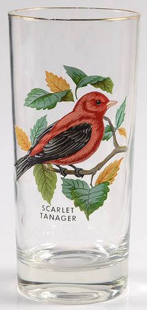 American Songbirds 13 Oz Flat Tumbler