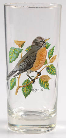 American Songbirds 13 Oz Flat Tumbler